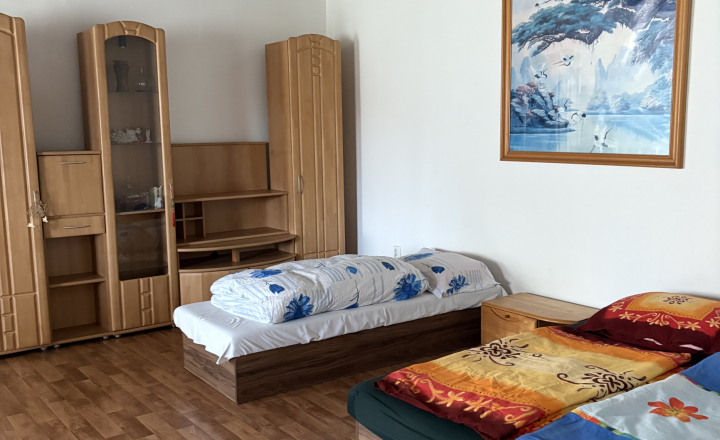 🏡 NA PRENÁJOM | RODINNÝ DOM S HALOU A VEĽKOU PARKOVACOU PLOCHOU – BRESTOVANY🏡 - fotografia 11